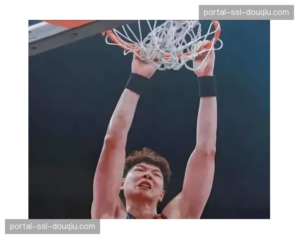 上海队防守效率联盟第二，怀特塞德王哲林构筑内线屏障